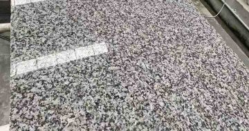 河北 芙蓉白光面