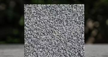 河北 芝麻黑荔枝面