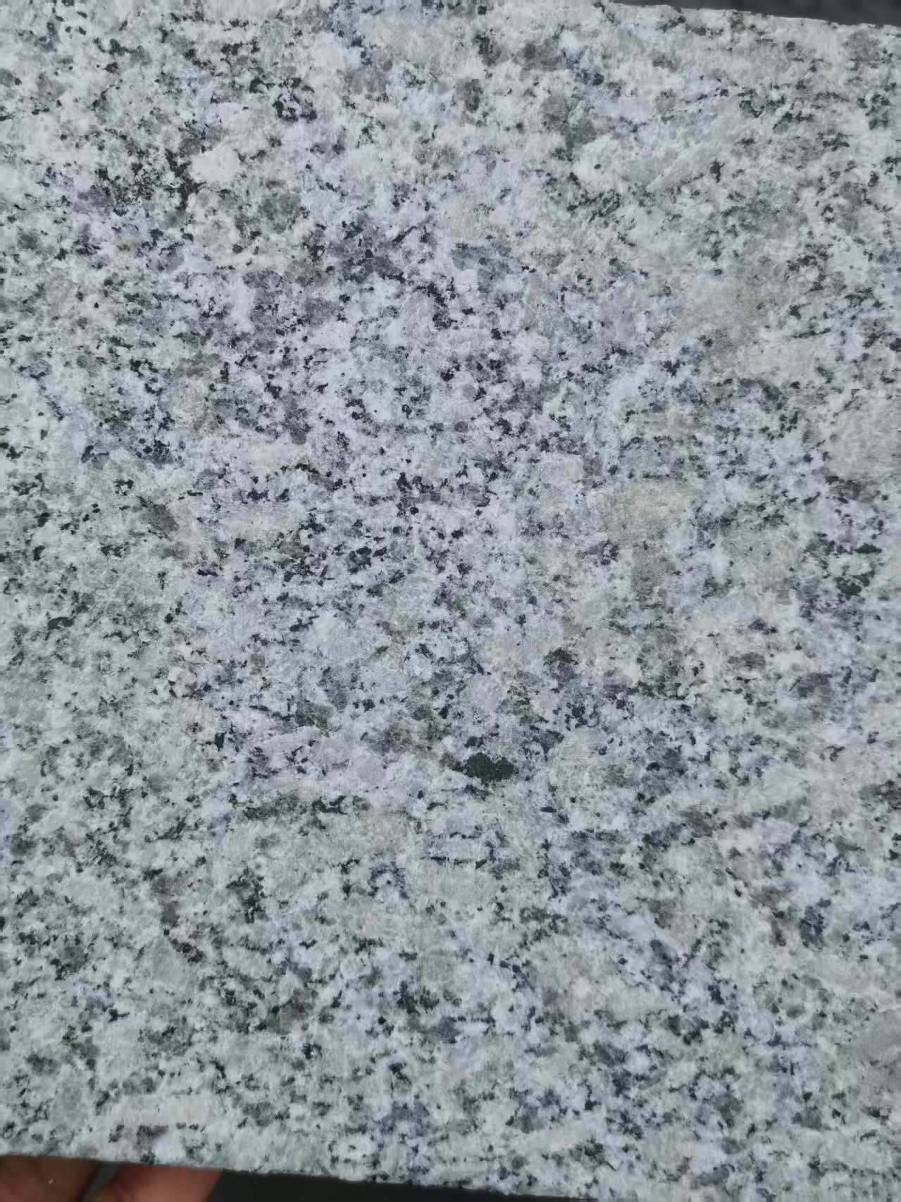 河北 芙蓉白火烧面