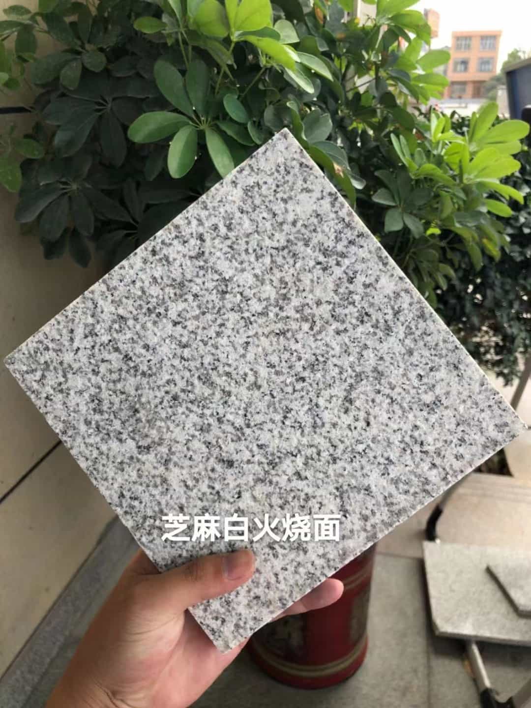 河北芝麻白火烧面地铺