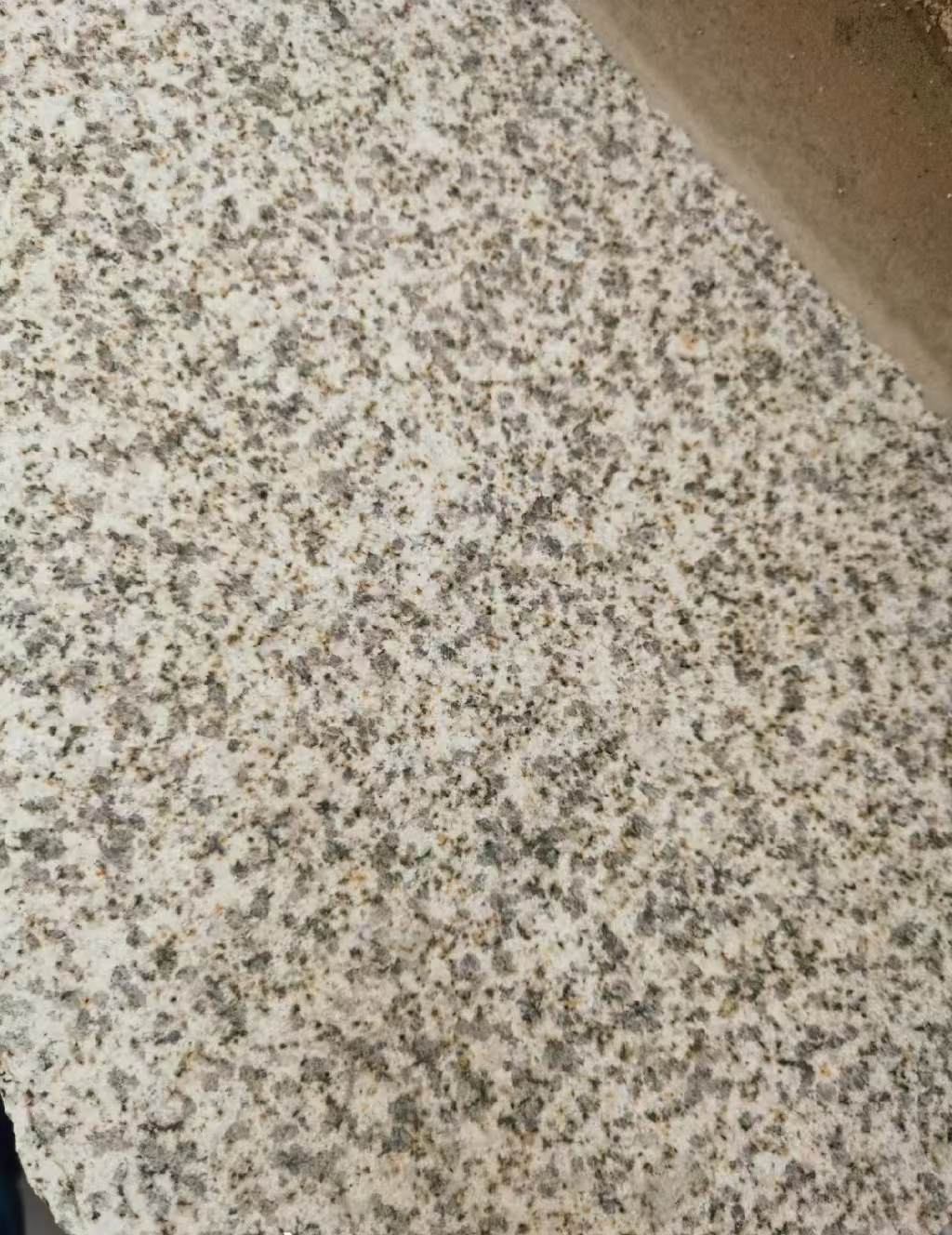 河北 黄金麻中黄光面